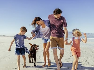 Animaux en vacances